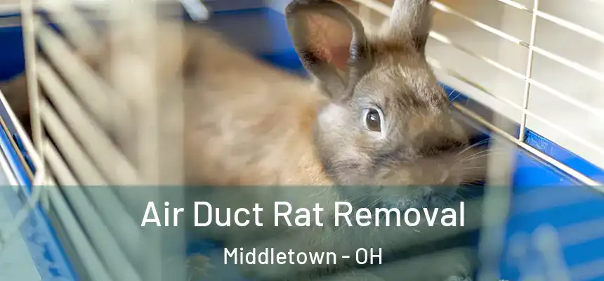  Air Duct Rat Removal Middletown - OH