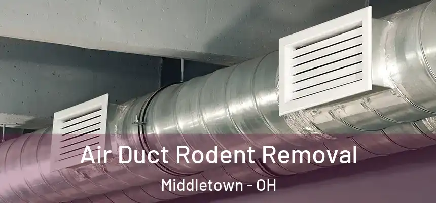  Air Duct Rodent Removal Middletown - OH