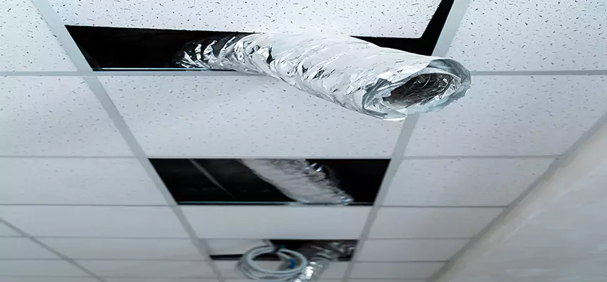 Our Air Duct Pet Hair Removal Services in Middletown, OH