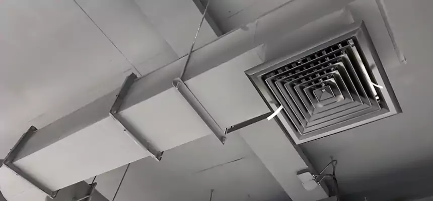 Our Pest Removal From Ducts Services in Middletown, OH