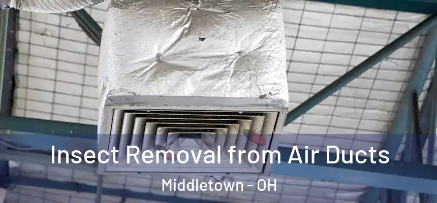  Insect Removal from Air Ducts Middletown - OH
