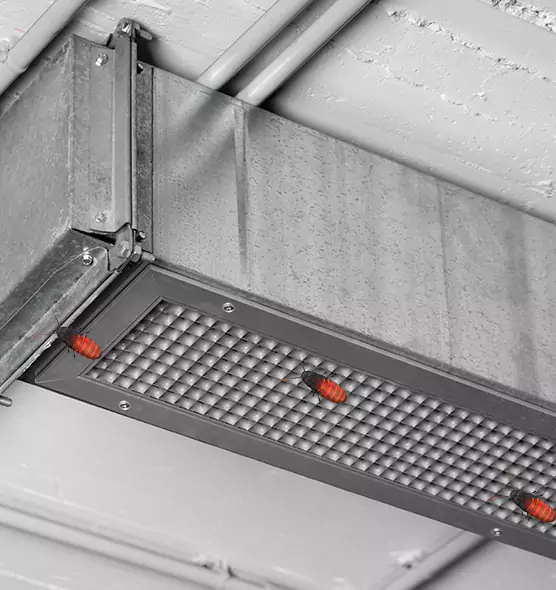 About Air Duct Cockroach Removal in Middletown, OH