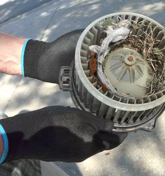 About Air Duct Mice Removal in Middletown, OH