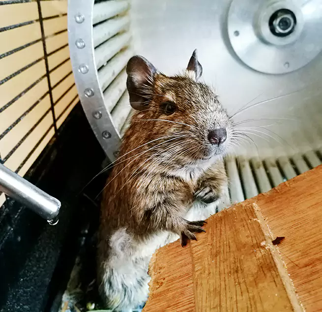 Why Homeowners & Businesses Trust Us Middletown, OH