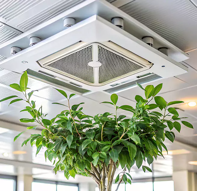 Why Homeowners & Businesses Trust Us in Middletown, OH?